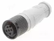 M12 - M12 liittimet - 1300390385-MOL - 1