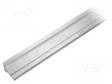 ALUMIINIPROFIILI LED-NAUHOILLE - LUONNOLLINEN - L: 1M - CORNER10 - ALUMIINI - Profiilit LED nauhoille - TOP-CORNER10-1M - 1