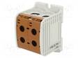 LIITIN: KISKO-185MM2 - NAVAT: 1 - PURISTIMET: 4 - RUSKEA - STB - TS35 - Kiskoliittimet - STB185-2BN - 1