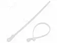 NIPPUSIDE - KIINNIKKEELLÄ - L: 150MM - W: 3,6MM - LUONNOLLINEN - 176N - Nippusiteet - TTF3.6X150N - 1