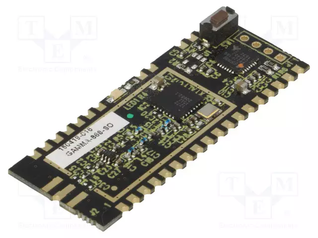 RF - FM LÄHETIN-VASTAANOTIN - LORA - 868MHZ - RS232 - -137DBM - RF moduulit - GAMMA-868-SO - 1