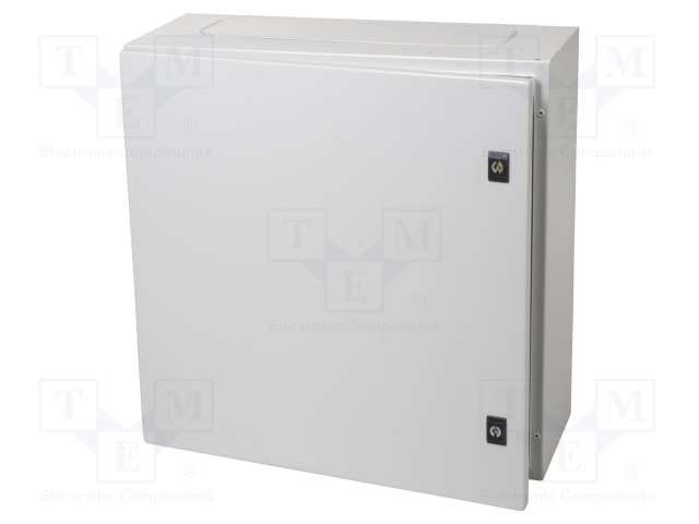 SEINÄASENNUSKOTELO - X: 600MM - Y: 600MM - Z: 250MM - SPACIAL CRN - TERÄS - IP66 - Seinään asennettavat kotelot - NSYCRN66250P - 1