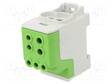 LIITIN: JAKOPALA - 200A - 1KV - DIN-KISKOLLE - RUUVI TERMINAALI - TS35 - Kiskoliittimet - SDB200GR - 1