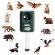 Solar powered ultrasonic pest repeller - Hiiren- ja jyrsiänkarkoittimet - SON202S - 1
