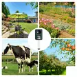 Solar powered ultrasonic pest repeller - Hiiren- ja jyrsiänkarkoittimet - SON202S - 3
