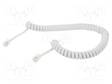 KAAPELI: PUHELIN-KIERRE-RJ10-PISTOKE,MOLEMMIN PUOLIN - 2M - Tietokonekaapelit ja -adapterit - TC4P4CS-2M-W - 1