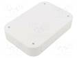 LAITEKOTELO - PF - X: 175MM - Y: 120MM - Z: 35MM - ABS - VALKOINEN - IP40 - Paneelikotelot - TKC-PF18-4-12W - 2