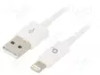 KAAPELI - CABLEXPERT - USB 2.0 - KULLATTU - 2M - VALKOINEN - 480MBPS - USB kaapelit ja adapterit - CC-USB2P-AMLM-2M-W - 1