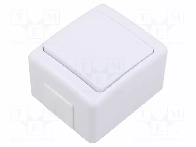 COUPLER - HERMETIC SWITCH - WALL MOUNT - 250VAC - IP44 - BETA - LIGHTING - Rakennusautomatiikka - D.3110W - 1