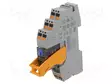 RELE: LIITÄNTÄ - DPDT - UKELAN: 24VDC - 8A - 8A/250VAC - 8A/250VDC - Elektromagneettiset relesarjat - RIF-1-RPT-LDP242X - 1