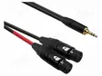 KAAPELI - 3,5MM PLUGI,XLR NAARAS 3PIN X2 - 5M - MUSTA - PVC - Muut audio-videokaapelit - AU3650BX - 1