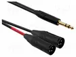 KAAPELI - 6,3MM PLUGI,XLR UROS- 3PIN X2 MUSTA - PVC - Muut audio-videokaapelit - AU38200BX - 1