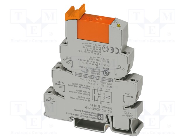 RELE: LIITÄNTÄ - DPDT - UKELAN: 120VAC,110VDC - 6A - 3A/250VAC - PLC-RSC - Elektromagneettiset relesarjat - PLC-RSC-120UC21EX - 1