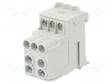LIITIN: JAKOPALA - 101A - 1KV - DIN-KISKOLLE - RUUVI TERMINAALI - TS35 - Kiskoliittimet - SDB100GY - 1
