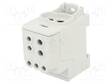 LIITIN: JAKOPALA - 200A - 1KV - DIN-KISKOLLE - RUUVI TERMINAALI - TS35 - Kiskoliittimet - SDB200GY - 1