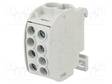 LIITIN: JAKOPALA - 202A - 1KV - DIN-KISKOLLE - RUUVI TERMINAALI - 35MM2 - Kiskoliittimet - SCB35GY - 1