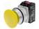 PAINOKYTKIN - 30MM - ASENNOT: 1 - NC + NO - KELTAINEN - IP55 - Taulukytkimet, standardi 30mm - NEF30-DGXY - 1