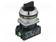 KIERTOKYTKIN - 30MM - ASENNOT: 2 - NC + NO - MUSTA - IP56 - Taulukytkimet, standardi 30mm - NEF30-TPDSXY - 1