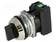 KIERTOKYTKIN - 30MM - ASENNOT: 1 - NC + NO - MUSTA - IP56 - Taulukytkimet, standardi 30mm - NEF30-TPFSXY - 1